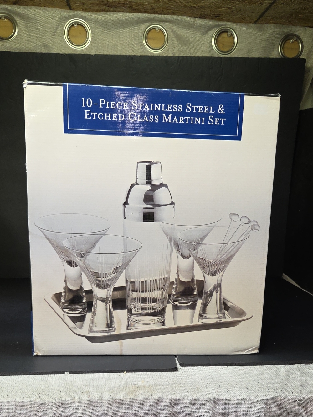 10 Pc Stainless Steel & Etched Glass Martini Set